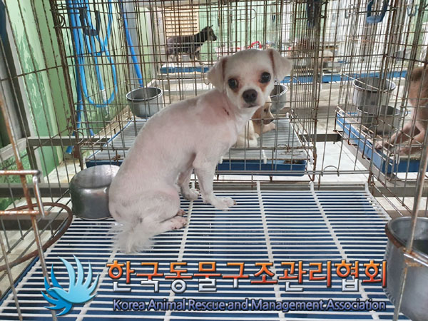 한국동물구조관리협회_411315202300476